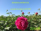 Published on 2/8/2016 ���ֹ�,��½�󷨵��ӹ�ףʦ������(26��)
