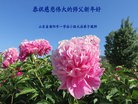 Published on 2/8/2016 ���ֹ�,��½�󷨵��ӹ�ףʦ������(26��)
