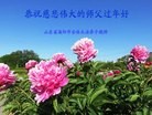 Published on 2/8/2016 ���ֹ�,��½�󷨵��ӹ�ףʦ������(26��)
