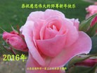 Published on 2/8/2016 ���ֹ�,��½�󷨵��ӹ�ףʦ������(26��)

