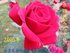 Published on 2/8/2016 ���ֹ�,��½�󷨵��ӹ�ףʦ������(26��)
