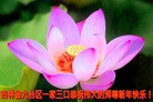 Published on 2/8/2016 ���ֹ�,��½�󷨵��ӹ�ףʦ������(32��)
