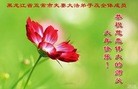Published on 2/8/2016 ���ֹ�,��½�󷨵��ӹ�ףʦ������(32��)
