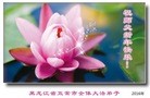 Published on 2/8/2016 ���ֹ�,��½�󷨵��ӹ�ףʦ������(32��)
