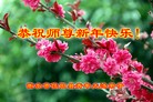 Published on 2/8/2016 ���ֹ�,��½�󷨵��ӹ�ףʦ������(32��)
