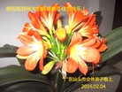 Published on 2/8/2016 ���ֹ�,��½�󷨵��ӹ�ףʦ������(32��)
