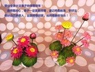 Published on 2/7/2016 ���ֹ�,��½�󷨵��ӹ�ףʦ������(27��)
