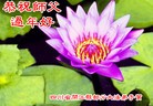 Published on 2/7/2016 ���ֹ�,��½�󷨵��ӹ�ףʦ������(28��)

