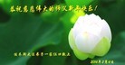 Published on 2/7/2016 ���ֹ�,��½�󷨵��ӹ�ףʦ������(28��)
