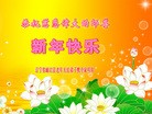 Published on 2/7/2016 ���ֹ�,��½�󷨵��ӹ�ףʦ������(28��)
