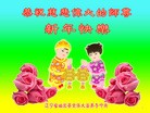 Published on 2/7/2016 ���ֹ�,��½�󷨵��ӹ�ףʦ������(28��)
