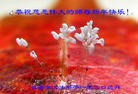 Published on 2/8/2016 ���ֹ�,��½�󷨵��ӹ�ףʦ������(26��)
