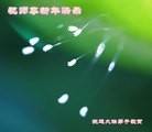 Published on 2/8/2016 ���ֹ�,��½�󷨵��ӹ�ףʦ������(26��)
