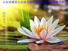 Published on 2/8/2016 ���ֹ�,��½�󷨵��ӹ�ףʦ������(39��)
