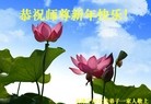 Published on 2/8/2016 ���ֹ�,��½�󷨵��ӹ�ףʦ������(26��)
