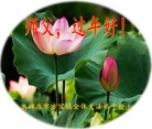 Published on 2/8/2016 ���ֹ�,��½�󷨵��ӹ�ףʦ������(26��)
