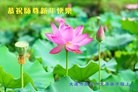 Published on 2/8/2016 ���ֹ�,��½�󷨵��ӹ�ףʦ������(26��)
