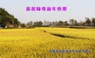 Published on 2/8/2016 ���ֹ�,��½�󷨵��ӹ�ףʦ������(26��)
