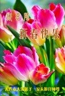 Published on 2/8/2016 ���ֹ�,��½�󷨵��ӹ�ףʦ������(26��)

