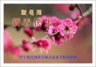 Published on 2/8/2016 ���ֹ�,��½�󷨵��ӹ�ףʦ������(26��)

