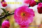 Published on 2/8/2016 ���ֹ�,��½�󷨵��ӹ�ףʦ������(26��)
