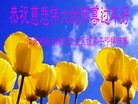 Published on 2/8/2016 ���ֹ�,��½�󷨵��ӹ�ףʦ������(37��)
