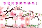 Published on 2/7/2016 ���ֹ�,��½�󷨵��ӹ�ףʦ������(28��)
