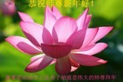 Published on 2/7/2016 ���ֹ�,��½�󷨵��ӹ�ףʦ������(28��)
