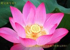 ֹ,󷨵ӹףʦ(27)

