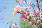 Published on 2/8/2016 ���ֹ�,��½�󷨵��ӹ�ףʦ�������(31��)
