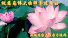 Published on 2/7/2016 ���ֹ�,��½�󷨵��ӹ�ףʦ������(28��)
