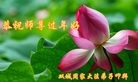 Published on 2/7/2016 ���ֹ�,��½�󷨵��ӹ�ףʦ������(28��)
