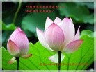 Published on 2/7/2016 ���ֹ�,��½�󷨵��ӹ�ףʦ������(28��)
