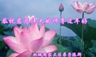 Published on 2/7/2016 ���ֹ�,��½�󷨵��ӹ�ףʦ������(28��)
