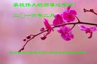 Published on 2/8/2016 ���ֹ�,��½�󷨵��ӹ�ףʦ������(29��)
