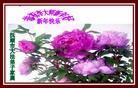 Published on 2/9/2016 ���ֹ�,��½���չ�ףʦ������
