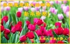 Published on 2/7/2016 ���ֹ�,��½�󷨵��ӹ�ףʦ������(27��)
