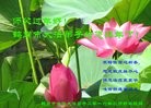 Published on 2/7/2016 ���ֹ�,��½�󷨵��ӹ�ףʦ������(27��)

