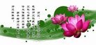 Published on 2/7/2016 ���ֹ�,��½�󷨵��ӹ�ףʦ������(28��)

