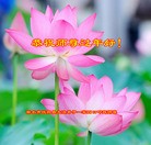 Published on 2/7/2016 ���ֹ�,��½�󷨵��ӹ�ףʦ������(28��)
