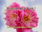 Published on 2/7/2016 ���ֹ�,��½�󷨵��ӹ�ףʦ������(28��)
