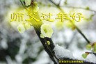 Published on 2/7/2016 ���ֹ�,��½�󷨵��ӹ�ףʦ������(28��)
