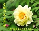 ֹ,ݴ󷨵ӹףʦ(31)
