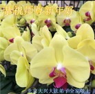 Published on 2/7/2016 ���ֹ�,��½�󷨵��ӹ�ףʦ������(28��)
