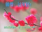 Published on 2/7/2016 ���ֹ�,��½�󷨵��ӹ�ףʦ������(28��)
