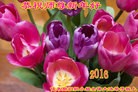 Published on 2/8/2016 ���ֹ�,��½�󷨵��ӹ�ףʦ������(39��)

