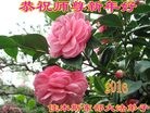 Published on 2/8/2016 ���ֹ�,��½�󷨵��ӹ�ףʦ������(39��)
