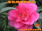 Published on 2/8/2016 ���ֹ�,��½�󷨵��ӹ�ףʦ������(39��)
