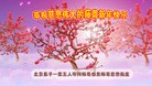 Published on 2/8/2016 ���ֹ�,��½�󷨵��ӹ�ףʦ������(39��)
