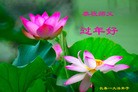 Published on 2/8/2016 ���ֹ�,��½�󷨵��ӹ�ףʦ������(40��)
